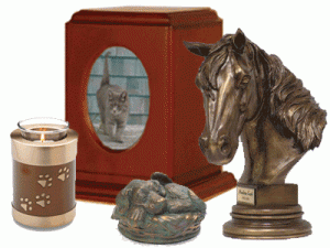 Pet Ashes Urns