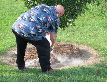 Scattering ashes around a tree