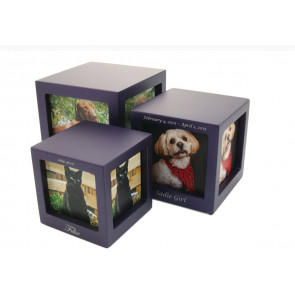Violet Photo Cube Urn for Pet Ashes