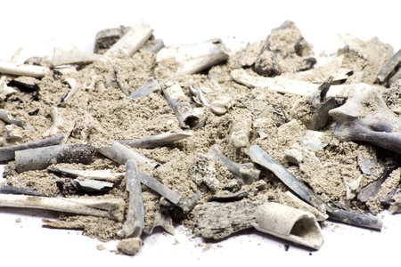 How Do You Dispose of Human Ashes at Sea? How Do You Dispose of Human Ashes at Sea?